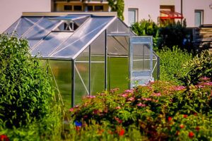 Greenhouse location backyard comfort