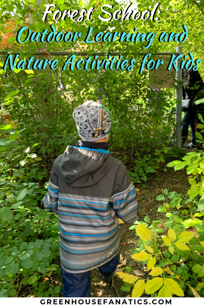 Forest School: Outdoor Learning and Nature Activities for Kids