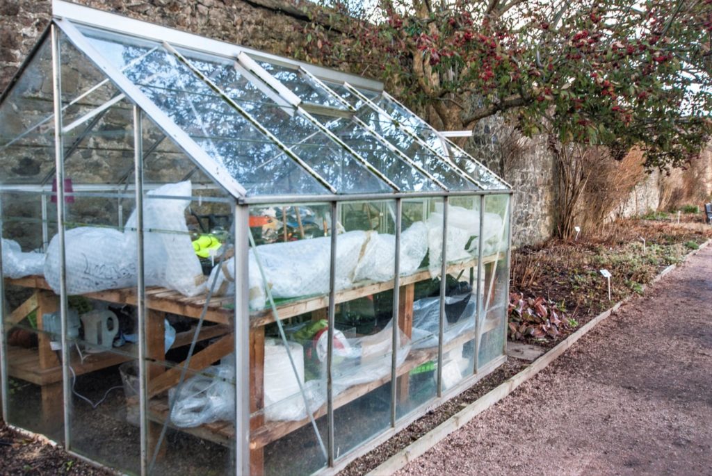 greenhouse-structure-types-pros-cons-greenhouse-fanatics